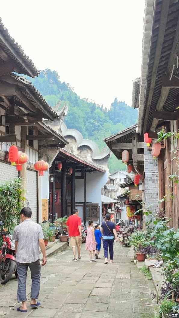 虫虫助手下载
